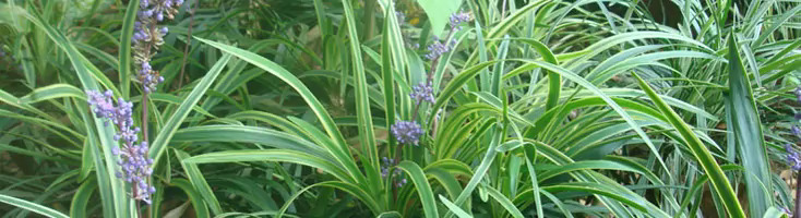 Gaststätte mit Kellner und Bier